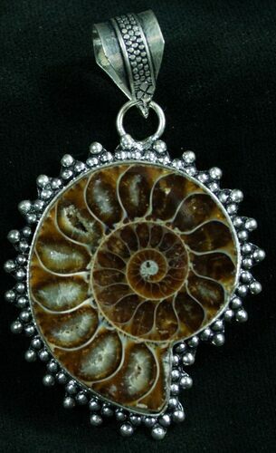 Fossil Ammonite Pendant - Million Years Old #8284